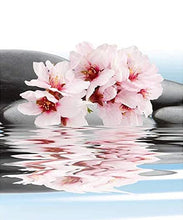 Load image into Gallery viewer, Etivel China Rain Perfume Essence China Rain Perfume Oil Alcohol Free Vegan Paraben Free Phthalate Free TSA Ready