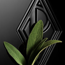 Load image into Gallery viewer, RALPH LAUREN FRAGRANCES - Ralph's Club - Elixir - Men's Cologne - Ambery & Woody - With Orris, Lavandin & Patchouli - Intense Fragrance - 2.5 Fl Oz