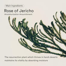 Load image into Gallery viewer, Abib Jericho Rose Bifida Serum Firming Drop, Visibly Smooths Textured Skin, Evens Skin Tone