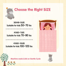 Load image into Gallery viewer, yescool Weighted Blanket (10 lbs, 41" x 60", Pink & Grey) Cooling Heavy Blanket, Perfect for 90-110 lbs, Breathable Throw Blanket Gifts with Premium Glass Bead, Machine Washable