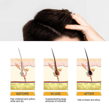 Load image into Gallery viewer, 240ML Ginger Extract Shampoo, Polygonum Multiflorum Oil Control Anti-Dandruff Shampoo, Identicalven Hair Loss Shampoo