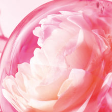 Load image into Gallery viewer, Charlotte Tilbury Love Frequency Eau De Parfum - Pheromone Enhancing Floral Perfume Enriched with Naturally-Derived Oils - Long-Lasting Scent with Notes of Patchouli Musk & Rose (100ml)