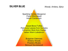 Load image into Gallery viewer, MANCERA Silver Blue Eau de Parfum 120ml
