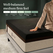 Load image into Gallery viewer, Zinus Lumbar+ Premium Memory Foam Mattress – 14 Inch, Queen, Lumbar Support, Targeted Pressure Relief, Cooling Gel & Green Tea, Fiberglass Free, Medium Firm, CertiPUR-US & OEKO-TEX Certified