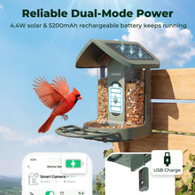 Load image into Gallery viewer, Kiwibit Solar Smart Bird Feeder with Camera, AI Bird Species Identification, 8MP Photos, 4K UHD Video Live Stream Wild Bird House Feeders for Outdoors, Bird Watching Gifts for Bird Lovers, Green