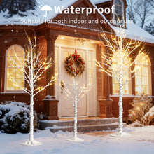 Load image into Gallery viewer, Cofiyard Outdoor Christmas Decorations Lighted Birch Tree Set of 3, LED Warm White 4, 6 and 8 Feet, for Indoor Christmas Decor, Party, Garden, Yard, Wedding, Holiday