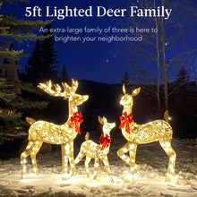 Load image into Gallery viewer, Best Choice Products 3-Piece Large Lighted Christmas Deer Family Set 5Ft Outdoor Yard Decoration with 360 LED Lights, Stakes, Zip Ties - Gold