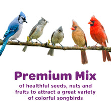Load image into Gallery viewer, Kaytee Nut & Fruit Wild Bird Seed, 5 lb