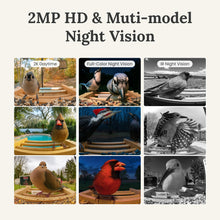 Load image into Gallery viewer, Birdfy Smart Bird Feeder with Camera, Solar Powered, 2K Live Stream, Bamboo Bird Feeder with Metal Guard, AI Bird Identification, Auto-Recorded Videos, Gift for Bird Lovers