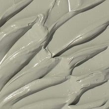 Load image into Gallery viewer, Ogee Clay Mask - Glacial Clay Detox Mask for Face