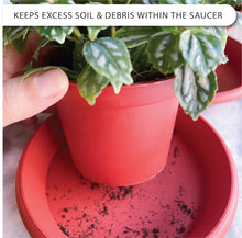 Load image into Gallery viewer, LOOPSEED Plant Saucer 6 Pack Drip Trays Planter Pot Base Heavy Duty Plastic Drainage Tray for Indoor Houseplants Outdoor Garden 5 inch 8 inch 11 inch 3 Sizes 2 Each Round (Terracotta)