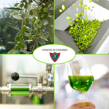 Load image into Gallery viewer, Robust 800+ mg/kg Polyphenol Rich Olive Oil Extra Virgin | New 2023-2024 Early Harvest Italian Olive Oil from Tuscany, Phenolic Shot and Finishing Use | Gold Award Winner Family Estate | 16.9 fl oz