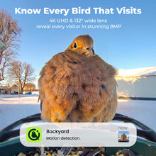 Load image into Gallery viewer, Kiwibit Solar Smart Bird Feeder with Camera, AI Bird Species Identification, 8MP Photos, 4K UHD Video Live Stream Wild Bird House Feeders for Outdoors, Bird Watching Gifts for Bird Lovers, Green