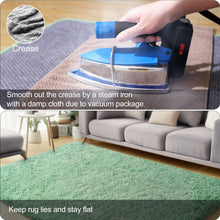 Load image into Gallery viewer, qulint 3x5 Area Rug for Bedroom, Fluffy Sage Green Rug for Living Room Cozy Shag Small Carpet for Nursery, Fuzzy Plush Shaggy Alfombras for Boys and Girls Dorm Home Decor (3ft x 5ft, Sage Green)