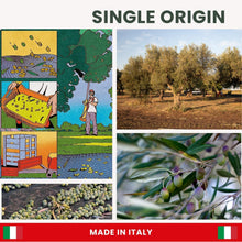 Load image into Gallery viewer, EXAU Italian Extra Virgin Olive Oil - Turi, 993 mg/kg Polyphenol Rich Olive Oil, Early Harvest, 100% Pure Cold Pressed Italian Olive Oil From Italy, Use for Drinking and Finishing, 16.9 fl oz (500ml)