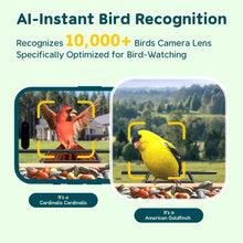 Load image into Gallery viewer, TT Nature Bird Feeder with Camera Solar Powered, Upgraded 1.5L Smart Bird Feeder Camera for Bird Watching, Auto Capture & Instant Real-time Notifications, Ideal Gift for Bird Lovers