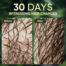 Load image into Gallery viewer, Batana Oil Shampoo and Conditioner Set, Batana Oil Shampoo for Hair Loss, Restores Hair Vitality and Rejuvenates, Stimulates Hair Growth, Repairs Damage for Men & Women 300ml+300ml 10.58fl.oz