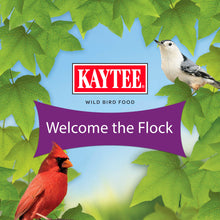 Load image into Gallery viewer, Kaytee Nut & Fruit Wild Bird Seed, 5 lb