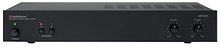 Load image into Gallery viewer, AudioSource Analog Amplifier, Stereo Power A Amplifier AMP100VS for Home Sound Systems
