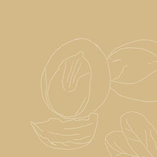 Load image into Gallery viewer, SheaMoisture Raw Shea Butter Deep Moisturizing Hair Masque for Curly Hair Raw Shea Butter Deep Conditioner to Moisturize and Renew Hair 12 oz
