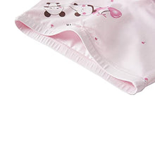 Load image into Gallery viewer, Core Pretty Little Girls Cotton Boy Shorts Toddler Panties Cute Panda Underwear (Pack of 5) (Panda, 3-4 Years)