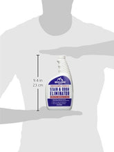 Load image into Gallery viewer, Rocco & Roxie Supply Professional Strength Stain and Odor Eliminator, Enzyme-Powered Pet Odor and Stain Remover for Dogs and Cat Urine, Spot Carpet Cleaner for Small Animal, 32 oz.