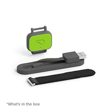 Load image into Gallery viewer, Whistle FIT - Pet Health and Fitness Tracker - Nutrition, and Activity Tracking, Waterproof, Monitors Licking, Scratching, Drinking, and Sleeping - Not a GPS, for Dogs
