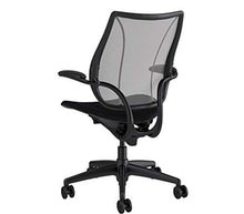 Load image into Gallery viewer, Humanscale Liberty Office Desk Task Chair - L116BN02V102-B Pinstripe Silver Backrest - Vellum Graphite Seat (Renewed)