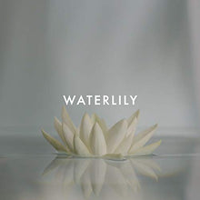 Load image into Gallery viewer, Alfred Sung SHI Eau De Parfum Spray, Perfume for Women with Fig Leaves & Lilies, 3.4 oz