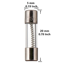 Load image into Gallery viewer, BOJACK 12 Values 60 pcs Slow Blow Glass Fuses Assortment Kit 5x20mm 250V T0.5A 1A 1.25A 1.6A 2A 2.5A 3A 3.15A 4A 5A 6.3A 10A packag in a Clear Plastic Box