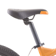 Load image into Gallery viewer, Raleigh Bikes Rowdy 20 Kids Bike for Boys Youth 4-9 Years Old, Green