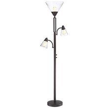 Load image into Gallery viewer, Warwick Industrial Torchiere Lamp Tree Tiger Bronze Seedy Glass Dimmable Antique LED Edison Bulbs for Living Room Reading - Franklin Iron Works