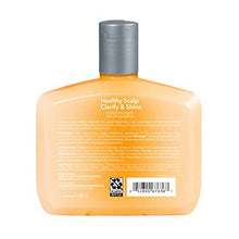 Load image into Gallery viewer, Neutrogena Exfoliating Healthy Scalp Clarify & Shine Conditioner for Oily Hair and Scalp, Anti-Residue Conditioner with Pink Grapefruit, Paraben & Phthalate-Free, Color-Safe, 12 Fl Oz (pack of 3)