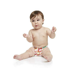 Load image into Gallery viewer, The Honest Company, Club Box, Clean Conscious Diapers, Sky's the Limit + Wingin It, Size 6, 44 Count (Packaging + Print May Vary)