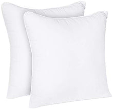 Load image into Gallery viewer, Utopia Bedding Throw Pillows Insert (Pack of 2, White) - 20 x 20 Inches Bed and Couch Pillows - Indoor Decorative Pillows
