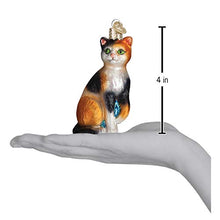 Load image into Gallery viewer, Old World Christmas Ornaments: Cat Lover Collection Glass Blown Ornaments for Christmas Tree, Calico Cat