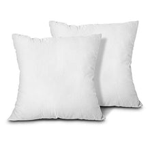 Load image into Gallery viewer, EDOW Throw Pillow Inserts, Set of 2 Lightweight Down Alternative Polyester Pillow, Couch Cushion, Sham Stuffer, Machine Washable. (White, 18x18)
