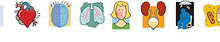 Load image into Gallery viewer, Patho Phlash!: Pathophysiology Flash Cards
