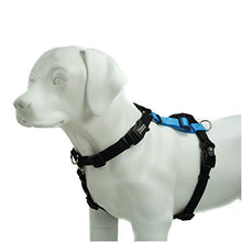 Load image into Gallery viewer, Blue-9 Pet Products Buckle-Neck Balance Harness, 6-Point Adjustable No-Pull Harness, Ideal for Dog Training, Made in The USA, Sky Blue, Medium