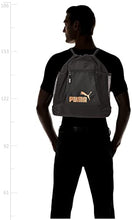 Load image into Gallery viewer, PUMA Evercat Equinox Carrysack