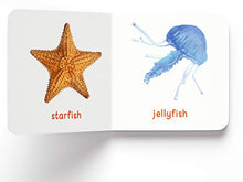Load image into Gallery viewer, My First Library : Boxset of 10 Board Books for Kids
