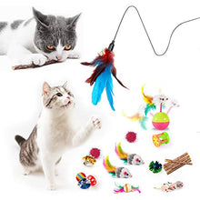 Load image into Gallery viewer, MIBOTE 28 Pcs Cat Toys Kitten Toys Assorted, Cat Tunnel Catnip Fish Feather Teaser Wand Fish Fluffy Mouse Mice Balls and Bells Toys for Cat Puppy Kitty with Storage Bag