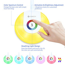 Load image into Gallery viewer, Etekcity LED Desk Lamp with USB Charging Port, Eye-caring Table Lamp with 3 Brightness Levels, Touch Control, Adjustable Gooseneck, Color Night Light for Office and Bedroom, Gift for Kids and Families