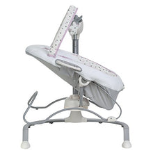 Load image into Gallery viewer, Graco Duet Sway LX Swing with Portable Bouncer, Camila