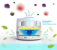 Load image into Gallery viewer, VentiFresh ECO Compact Air Purifier - Source Air Cleaner for Toilet, Cat Litter Box, Trash Can and Laundry - Filterless Air Purifier