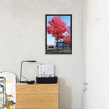 Load image into Gallery viewer, Medog 9x12 Picture Frame Set of 1, 9x12 Inch Black Picture Frames Display Pictures 9x12 Without Mat Wall Mounting Document Certificate Frames If You Add Mat for 8x10 7x11 7x9 Picture Frame 9x12" (P1P BA)