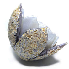 Load image into Gallery viewer, MOKA 1pc 400g-550g Natural Agate geode Quartz Flower carvings Crystal Ornaments Figurines for Sale