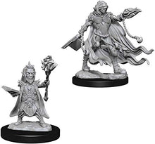 Load image into Gallery viewer, Pathfinder Deep Cuts Unpainted Miniatures: Wave 2: Evil Wizards