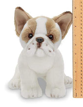 Load image into Gallery viewer, Bearington Collection Frenchie Plush Stuffed Animal French Bulldog Puppy Dog, 13 inch