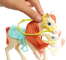 Load image into Gallery viewer, Mattel Barbie Hugs 'n Horses Playset with Barbie and Chelsea Dolls, 2 Horses and 15+ Accessories for Kids 3 Years Old and Up